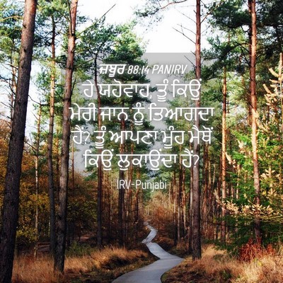 Picture 04 - ਜ਼ਬੂਰ 88:14 PANIRV - ਹੇ ਯਹੋਵਾਹ, ਤੂੰ ਕਿਉਂ - Bible Verse Picture