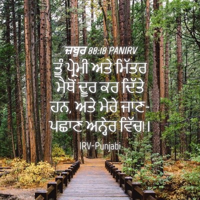Picture 04 - ਜ਼ਬੂਰ 88:18 PANIRV - ਤੂੰ ਪ੍ਰੇਮੀ ਅਤੇ - Bible Verse Picture