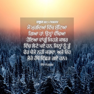 Picture 04 - ਜ਼ਬੂਰ 88:5 PANIRV - ਮੈਂ ਮੁਰਦਿਆਂ ਵਿੱਚ - Bible Verse Picture