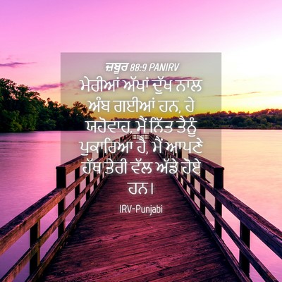 Picture 04 - ਜ਼ਬੂਰ 88:9 PANIRV - ਮੇਰੀਆਂ ਅੱਖਾਂ ਦੁੱਖ - Bible Verse Picture