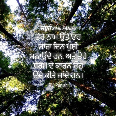 Picture 04 - ਜ਼ਬੂਰ 89:16 PANIRV - ਤੇਰੇ ਨਾਮ ਉੱਤੇ ਓਹ - Bible Verse Picture