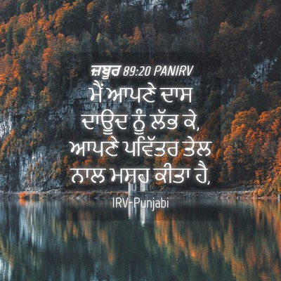 Picture 04 - ਜ਼ਬੂਰ 89:20 PANIRV - ਮੈਂ ਆਪਣੇ ਦਾਸ ਦਾਊਦ - Bible Verse Picture
