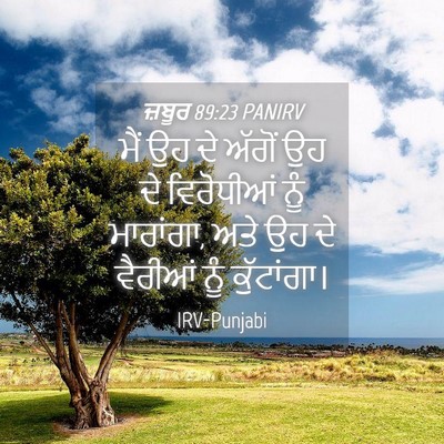 Picture 04 - ਜ਼ਬੂਰ 89:23 PANIRV - ਮੈਂ ਉਹ ਦੇ ਅੱਗੋਂ ਉਹ - Bible Verse Picture
