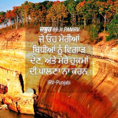 Picture 04 - ਜ਼ਬੂਰ 89:31 PANIRV - ਜੇ ਓਹ ਮੇਰੀਆਂ - Bible Verse Picture