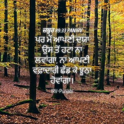 Picture 04 - ਜ਼ਬੂਰ 89:33 PANIRV - ਪਰ ਮੈਂ ਆਪਣੀ ਦਯਾ ਉਸ - Bible Verse Picture