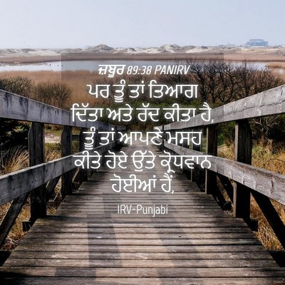 Picture 04 - ਜ਼ਬੂਰ 89:38 PANIRV - ਪਰ ਤੂੰ ਤਾਂ ਤਿਆਗ - Bible Verse Picture