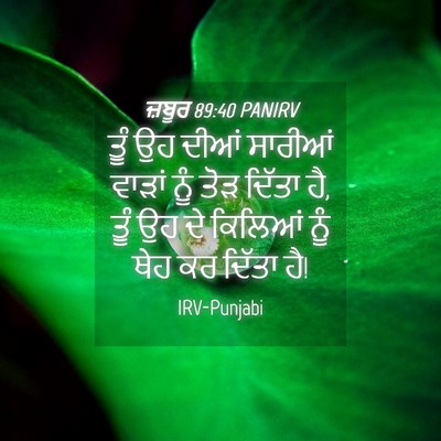 Picture 04 - ਜ਼ਬੂਰ 89:40 PANIRV - ਤੂੰ ਉਹ ਦੀਆਂ ਸਾਰੀਆਂ - Bible Verse Picture
