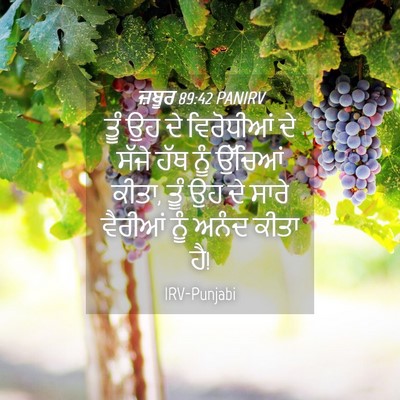 Picture 04 - ਜ਼ਬੂਰ 89:42 PANIRV - ਤੂੰ ਉਹ ਦੇ ਵਿਰੋਧੀਆਂ - Bible Verse Picture