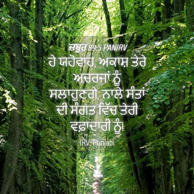 Picture 04 - ਜ਼ਬੂਰ 89:5 PANIRV - ਹੇ ਯਹੋਵਾਹ, ਅਕਾਸ਼ - Bible Verse Picture