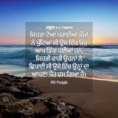 Picture 04 - ਜ਼ਬੂਰ 9:15 PANIRV - ਜਿਹੜਾ ਟੋਆ ਪਰਾਈਆਂ - Bible Verse Picture