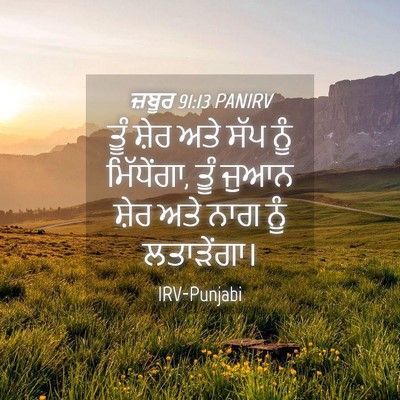 Picture 04 - ਜ਼ਬੂਰ 91:13 PANIRV - ਤੂੰ ਸ਼ੇਰ ਅਤੇ ਸੱਪ - Bible Verse Picture