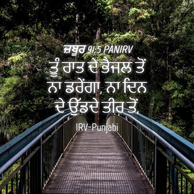 Picture 04 - ਜ਼ਬੂਰ 91:5 PANIRV - ਤੂੰ ਰਾਤ ਦੇ ਭੈਜਲ ਤੋਂ - Bible Verse Picture