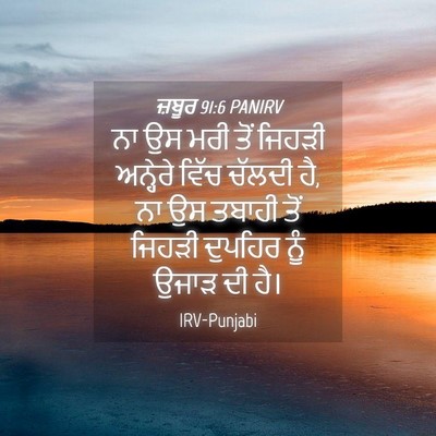 Picture 04 - ਜ਼ਬੂਰ 91:6 PANIRV - ਨਾ ਉਸ ਮਰੀ ਤੋਂ ਜਿਹੜੀ - Bible Verse Picture