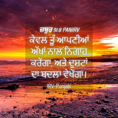 Picture 04 - ਜ਼ਬੂਰ 91:8 PANIRV - ਕੇਵਲ ਤੂੰ ਆਪਣੀਆਂ - Bible Verse Picture