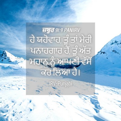 Picture 04 - ਜ਼ਬੂਰ 91:9 PANIRV - ਹੇ ਯਹੋਵਾਹ, ਤੂੰ ਤਾਂ - Bible Verse Picture
