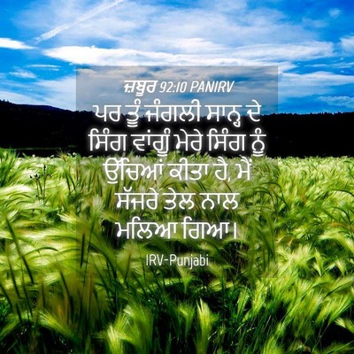 Picture 04 - ਜ਼ਬੂਰ 92:10 PANIRV - ਪਰ ਤੂੰ ਜੰਗਲੀ ਸਾਨ੍ਹ - Bible Verse Picture