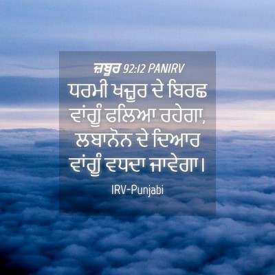 Picture 04 - ਜ਼ਬੂਰ 92:12 PANIRV - ਧਰਮੀ ਖਜ਼ੂਰ ਦੇ ਬਿਰਛ - Bible Verse Picture