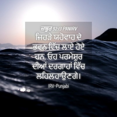 Picture 04 - ਜ਼ਬੂਰ 92:13 PANIRV - ਜਿਹੜੇ ਯਹੋਵਾਹ ਦੇ - Bible Verse Picture