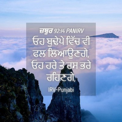 Picture 04 - ਜ਼ਬੂਰ 92:14 PANIRV - ਓਹ ਬੁਢੇਪੇ ਵਿੱਚ ਵੀ - Bible Verse Picture