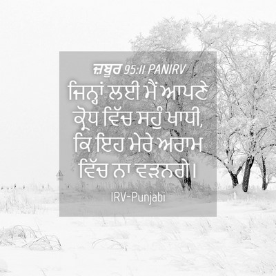 Picture 04 - ਜ਼ਬੂਰ 95:11 PANIRV - ਜਿਨ੍ਹਾਂ ਲਈ ਮੈਂ - Bible Verse Picture