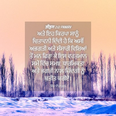 Picture 04 - ਤੀਤੁਸ 2:12 PANIRV - ਅਤੇ ਇਹ ਕਿਰਪਾ ਸਾਨੂੰ - Bible Verse Picture