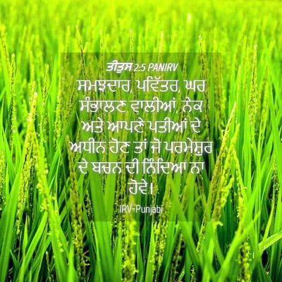 Picture 04 - ਤੀਤੁਸ 2:5 PANIRV - ਸਮਝਦਾਰ, ਪਵਿੱਤਰ, ਘਰ - Bible Verse Picture