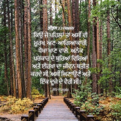 Picture 04 - ਤੀਤੁਸ 3:3 PANIRV - ਕਿਉਂ ਜੋ ਪਹਿਲਾਂ ਤਾਂ - Bible Verse Picture