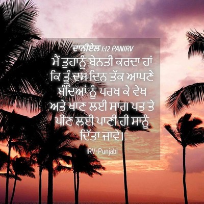 Picture 04 - ਦਾਨੀਏਲ 1:12 PANIRV - ਮੈਂ ਤੁਹਾਨੂੰ ਬੇਨਤੀ - Bible Verse Picture