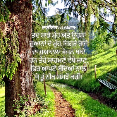Picture 04 - ਦਾਨੀਏਲ 1:13 PANIRV - ਤਦ ਸਾਡੇ ਮੂੰਹ ਅਤੇ - Bible Verse Picture