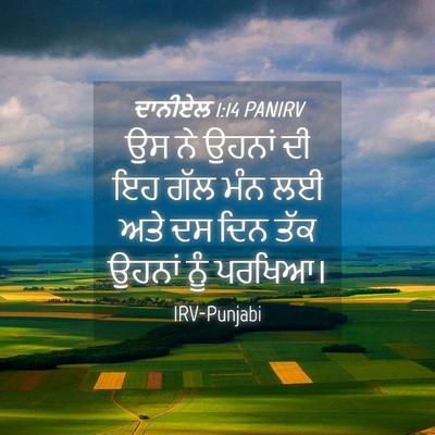 Picture 04 - ਦਾਨੀਏਲ 1:14 PANIRV - ਉਸ ਨੇ ਉਹਨਾਂ ਦੀ ਇਹ - Bible Verse Picture