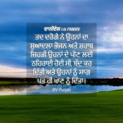 Picture 04 - ਦਾਨੀਏਲ 1:16 PANIRV - ਤਦ ਦਰੋਗੇ ਨੇ ਉਹਨਾਂ - Bible Verse Picture