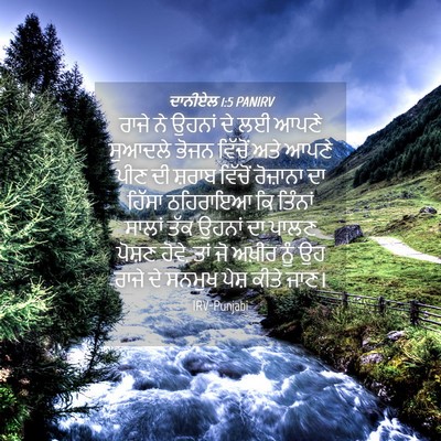 Picture 04 - ਦਾਨੀਏਲ 1:5 PANIRV - ਰਾਜੇ ਨੇ ਉਹਨਾਂ ਦੇ ਲਈ - Bible Verse Picture