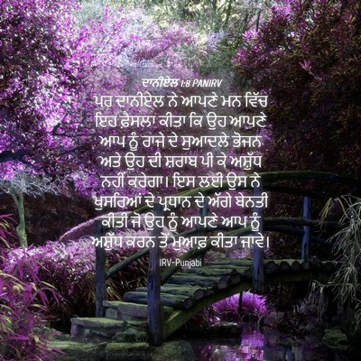 Picture 04 - ਦਾਨੀਏਲ 1:8 PANIRV - ਪਰ ਦਾਨੀਏਲ ਨੇ ਆਪਣੇ - Bible Verse Picture