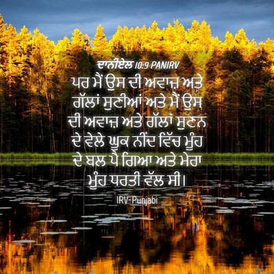 Picture 04 - ਦਾਨੀਏਲ 10:9 PANIRV - ਪਰ ਮੈਂ ਉਸ ਦੀ ਅਵਾਜ਼ - Bible Verse Picture