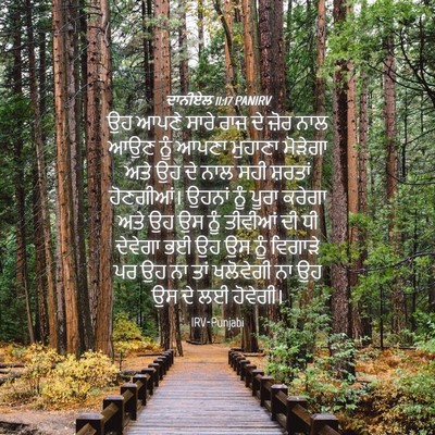 Picture 04 - ਦਾਨੀਏਲ 11:17 PANIRV - ਉਹ ਆਪਣੇ ਸਾਰੇ ਰਾਜ ਦੇ - Bible Verse Picture