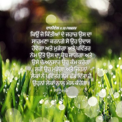 Picture 04 - ਦਾਨੀਏਲ 11:30 PANIRV - ਕਿਉਂ ਜੋ ਕਿੱਤੀਆਂ ਦੇ - Bible Verse Picture
