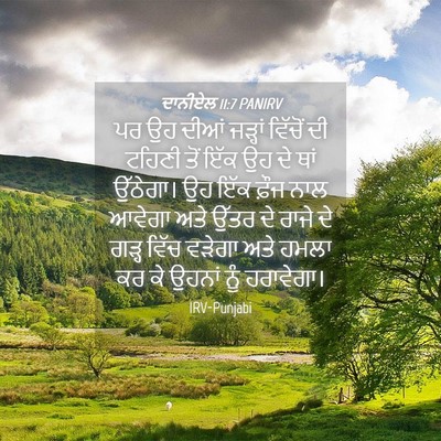 Picture 04 - ਦਾਨੀਏਲ 11:7 PANIRV - ਪਰ ਉਹ ਦੀਆਂ ਜੜ੍ਹਾਂ - Bible Verse Picture