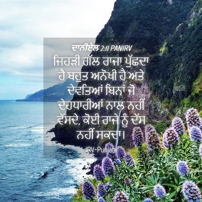Picture 04 - ਦਾਨੀਏਲ 2:11 PANIRV - ਜਿਹੜੀ ਗੱਲ ਰਾਜਾ - Bible Verse Picture
