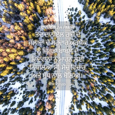 Picture 04 - ਦਾਨੀਏਲ 2:14 PANIRV - ਤਦ ਦਾਨੀਏਲ ਰਾਜੇ ਦੇ - Bible Verse Picture