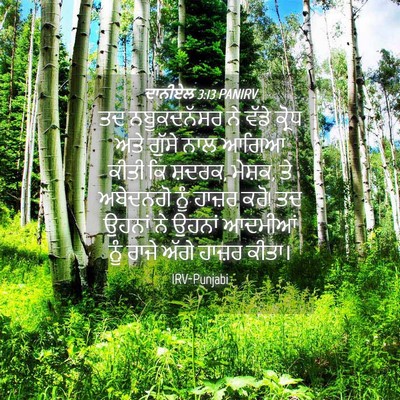 Picture 04 - ਦਾਨੀਏਲ 3:13 PANIRV - ਤਦ ਨਬੂਕਦਨੱਸਰ ਨੇ - Bible Verse Picture