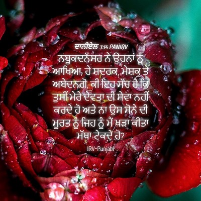 Picture 04 - ਦਾਨੀਏਲ 3:14 PANIRV - ਨਬੂਕਦਨੱਸਰ ਨੇ - Bible Verse Picture