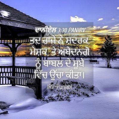 Picture 04 - ਦਾਨੀਏਲ 3:30 PANIRV - ਤਦ ਰਾਜੇ ਨੇ ਸ਼ਦਰਕ, - Bible Verse Picture