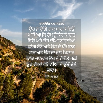 Picture 04 - ਦਾਨੀਏਲ 4:14 PANIRV - ਉਹ ਨੇ ਉੱਚੀ ਹਾਕ ਮਾਰ - Bible Verse Picture