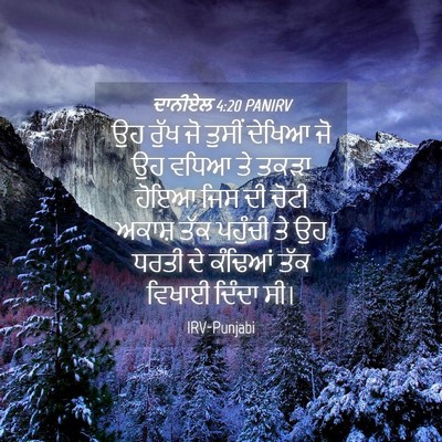 Picture 04 - ਦਾਨੀਏਲ 4:20 PANIRV - ਉਹ ਰੁੱਖ ਜੋ ਤੁਸੀਂ - Bible Verse Picture