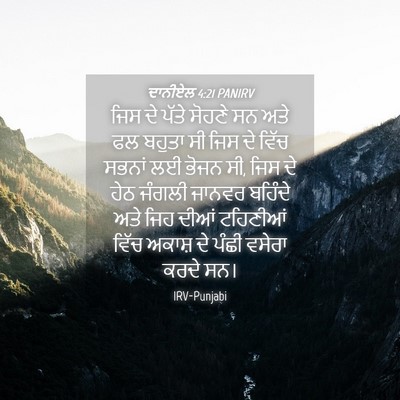 Picture 04 - ਦਾਨੀਏਲ 4:21 PANIRV - ਜਿਸ ਦੇ ਪੱਤੇ ਸੋਹਣੇ - Bible Verse Picture