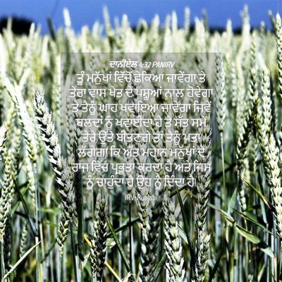 Picture 04 - ਦਾਨੀਏਲ 4:32 PANIRV - ਤੂੰ ਮਨੁੱਖਾਂ - Bible Verse Picture