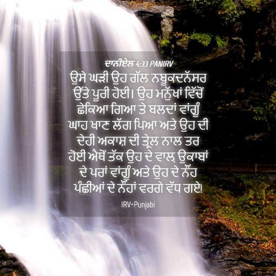 Picture 04 - ਦਾਨੀਏਲ 4:33 PANIRV - ਉਸੇ ਘੜੀ ਉਹ ਗੱਲ - Bible Verse Picture