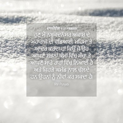 Picture 04 - ਦਾਨੀਏਲ 4:37 PANIRV - ਹੁਣ ਮੈਂ ਨਬੂਕਦਨੱਸਰ - Bible Verse Picture