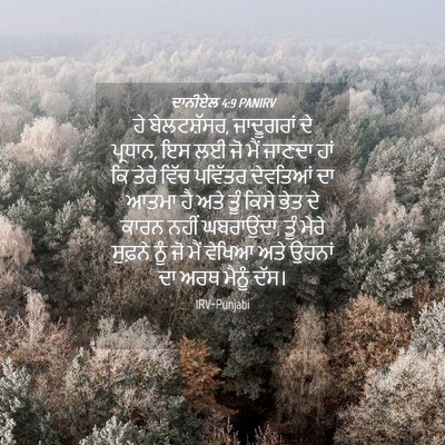 Picture 04 - ਦਾਨੀਏਲ 4:9 PANIRV - ਹੇ ਬੇਲਟਸ਼ੱਸਰ, - Bible Verse Picture