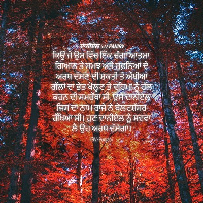 Picture 04 - ਦਾਨੀਏਲ 5:12 PANIRV - ਕਿਉਂ ਜੋ ਉਸ ਵਿੱਚ ਇੱਕ - Bible Verse Picture